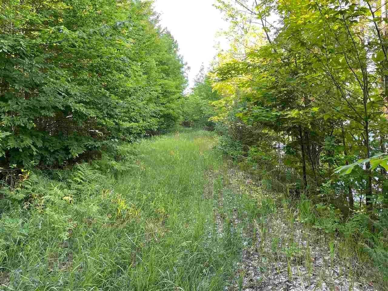 5. Land for Sale at Marion Center Road Charlevoix, Michigan 49720 United States