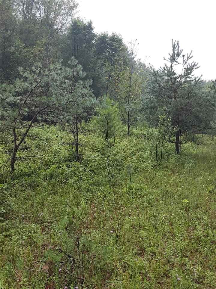 2. Land for Sale at S Saddler Road Chase, Michigan 49623 United States
