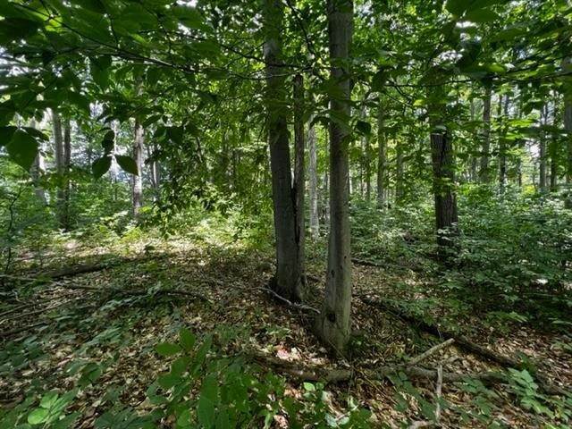12. Land for Sale at Lot 68 Turnberry Boyne City, Michigan 49712 United States