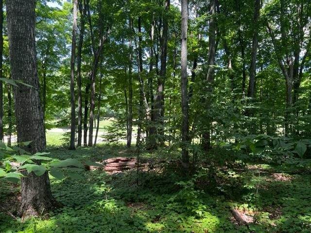 5. Land for Sale at Lot 70 Turnberry Boyne City, Michigan 49712 United States