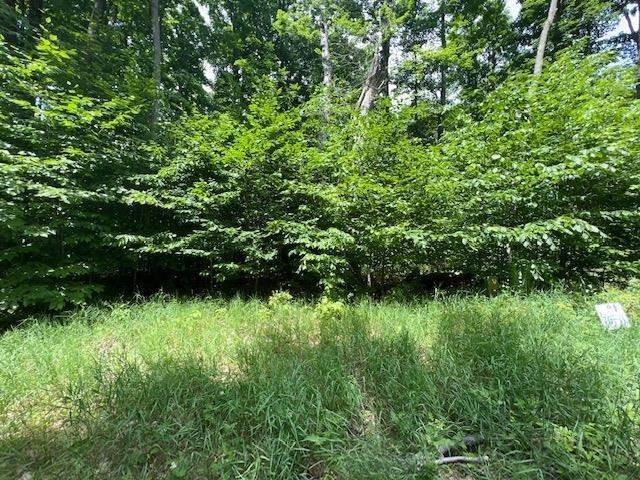8. Land for Sale at Lot 70 Turnberry Boyne City, Michigan 49712 United States