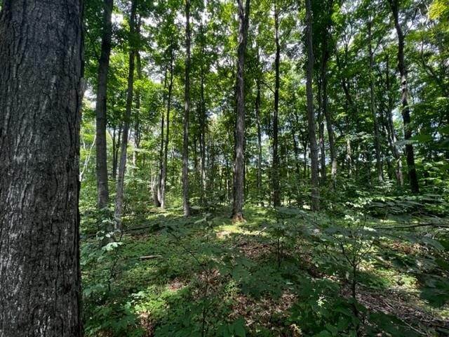 9. Land for Sale at Lot 70 Turnberry Boyne City, Michigan 49712 United States