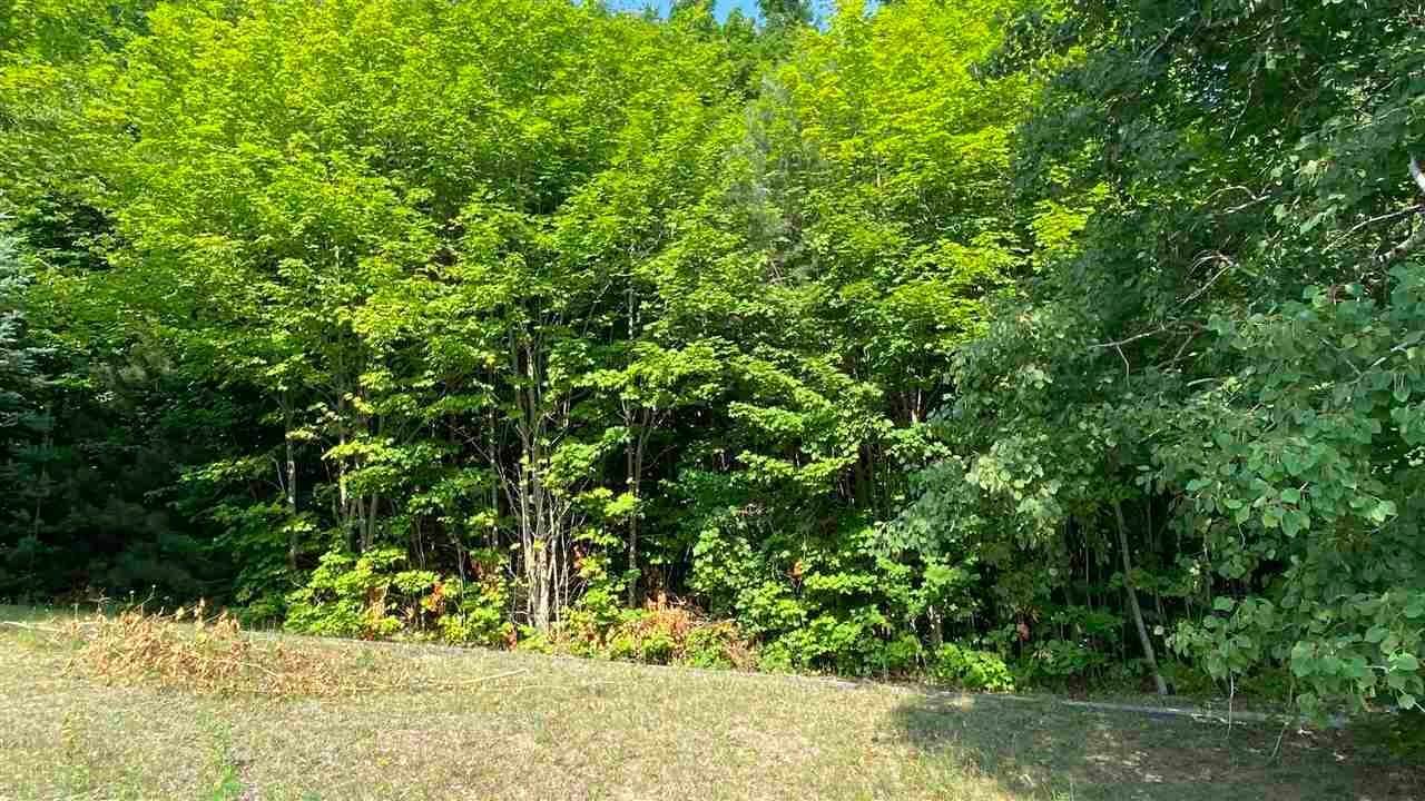 3. Land for Sale at 1966 Island View Drive Bellaire, Michigan 49615 United States