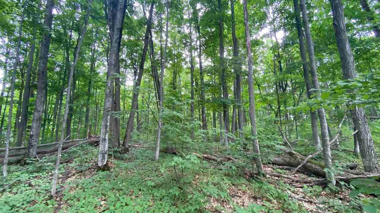 6. Land for Sale at 216 & 217 Alpenhorn Court Bellaire, Michigan 49615 United States