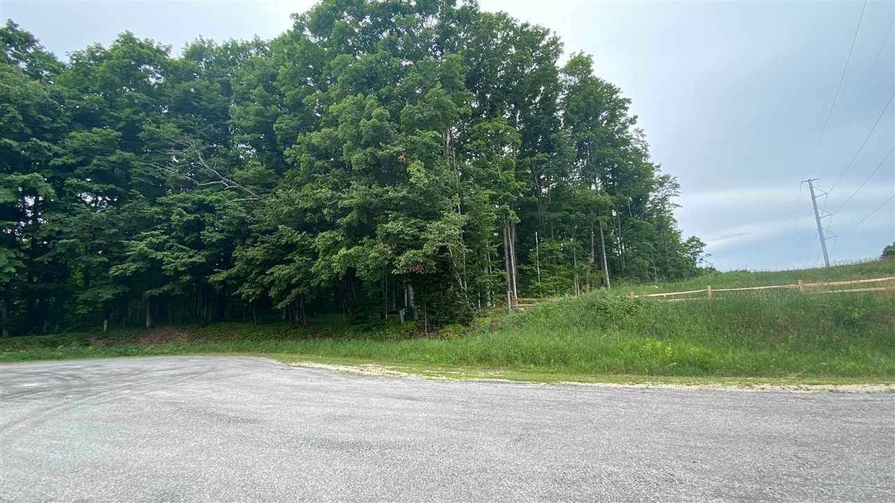 7. Land for Sale at 216 & 217 Alpenhorn Court Bellaire, Michigan 49615 United States