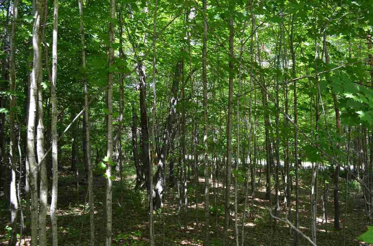 21. Land for Sale at 3252 Middle Road Harbor Springs, Michigan 49740 United States