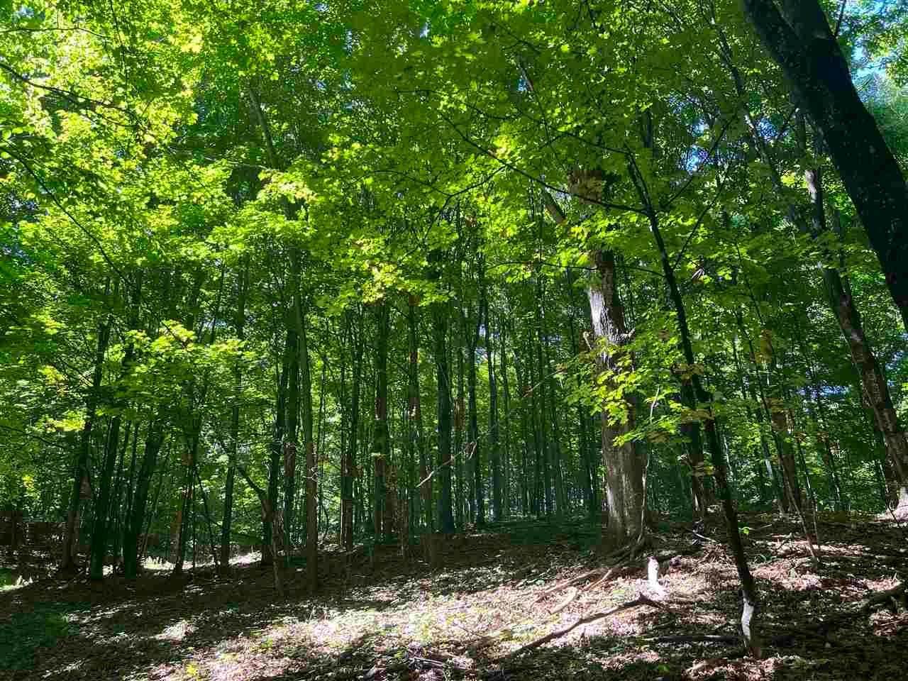 4. Land for Sale at Red Pine Trail Charlevoix, Michigan 49720 United States