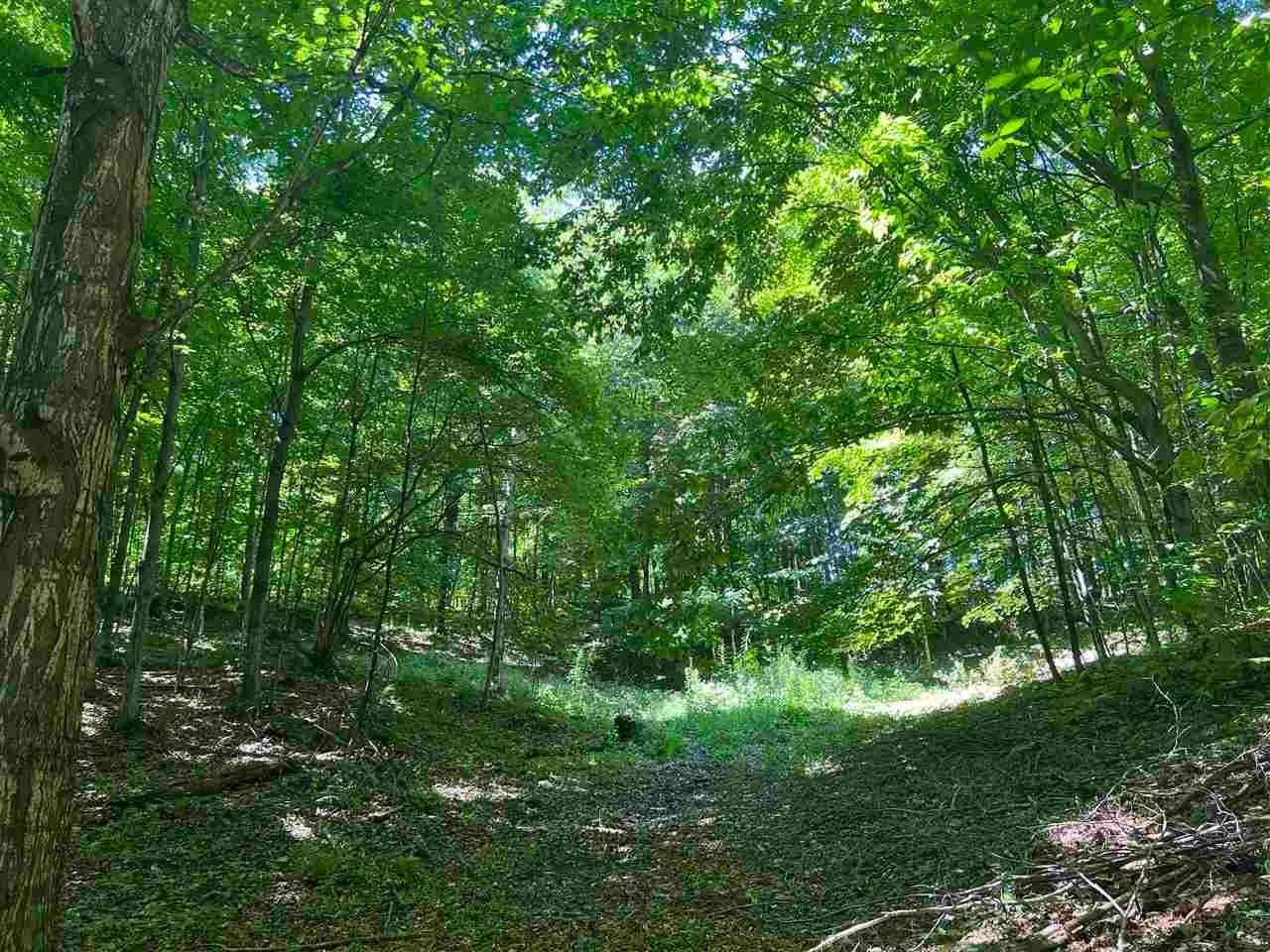 5. Land for Sale at Red Pine Trail Charlevoix, Michigan 49720 United States