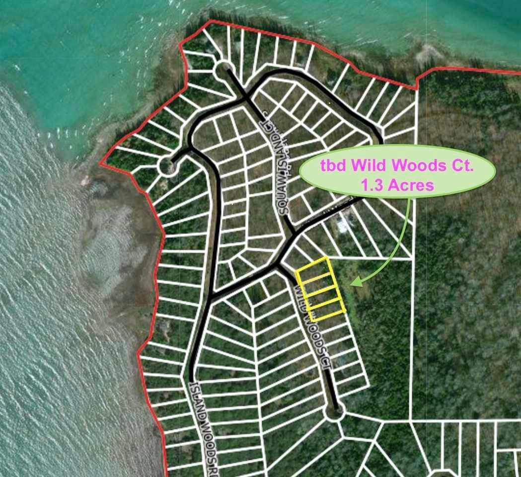 7. Land for Sale at tbd Wild Woods Ct - Lot #421 Beaver Island, Michigan 49782 United States