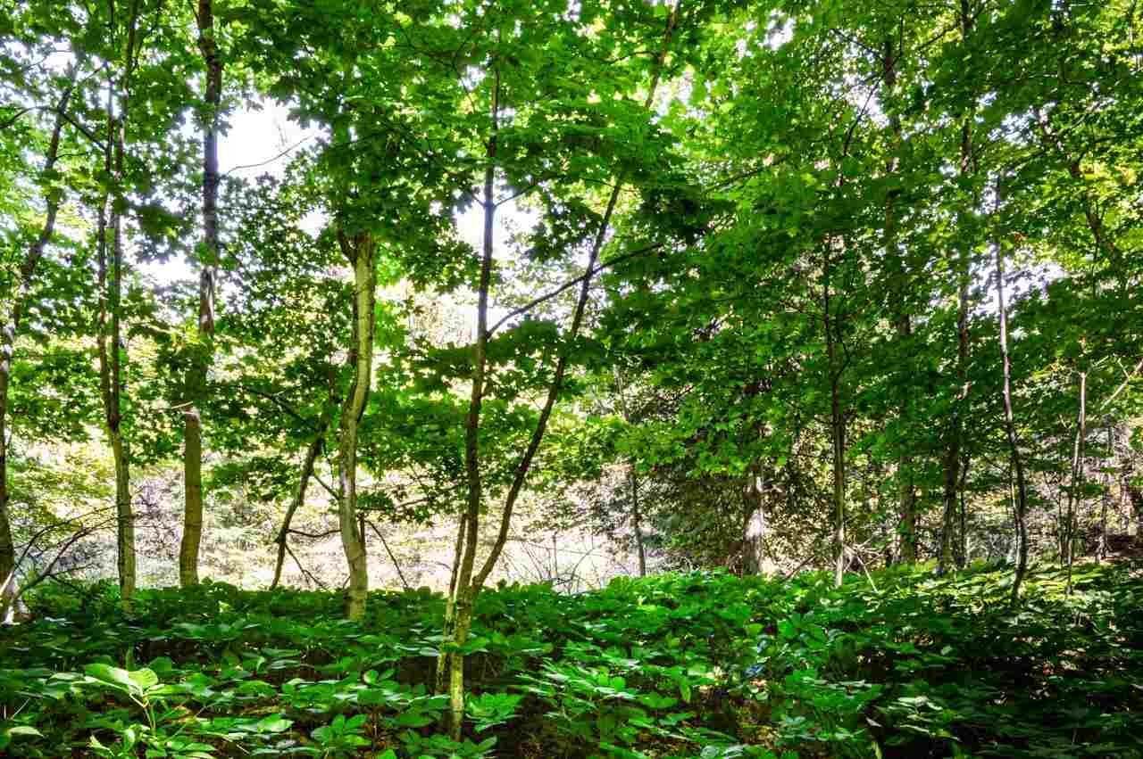 1. Land for Sale at tbd Wild Woods Ct - Lot #423 Beaver Island, Michigan 49782 United States