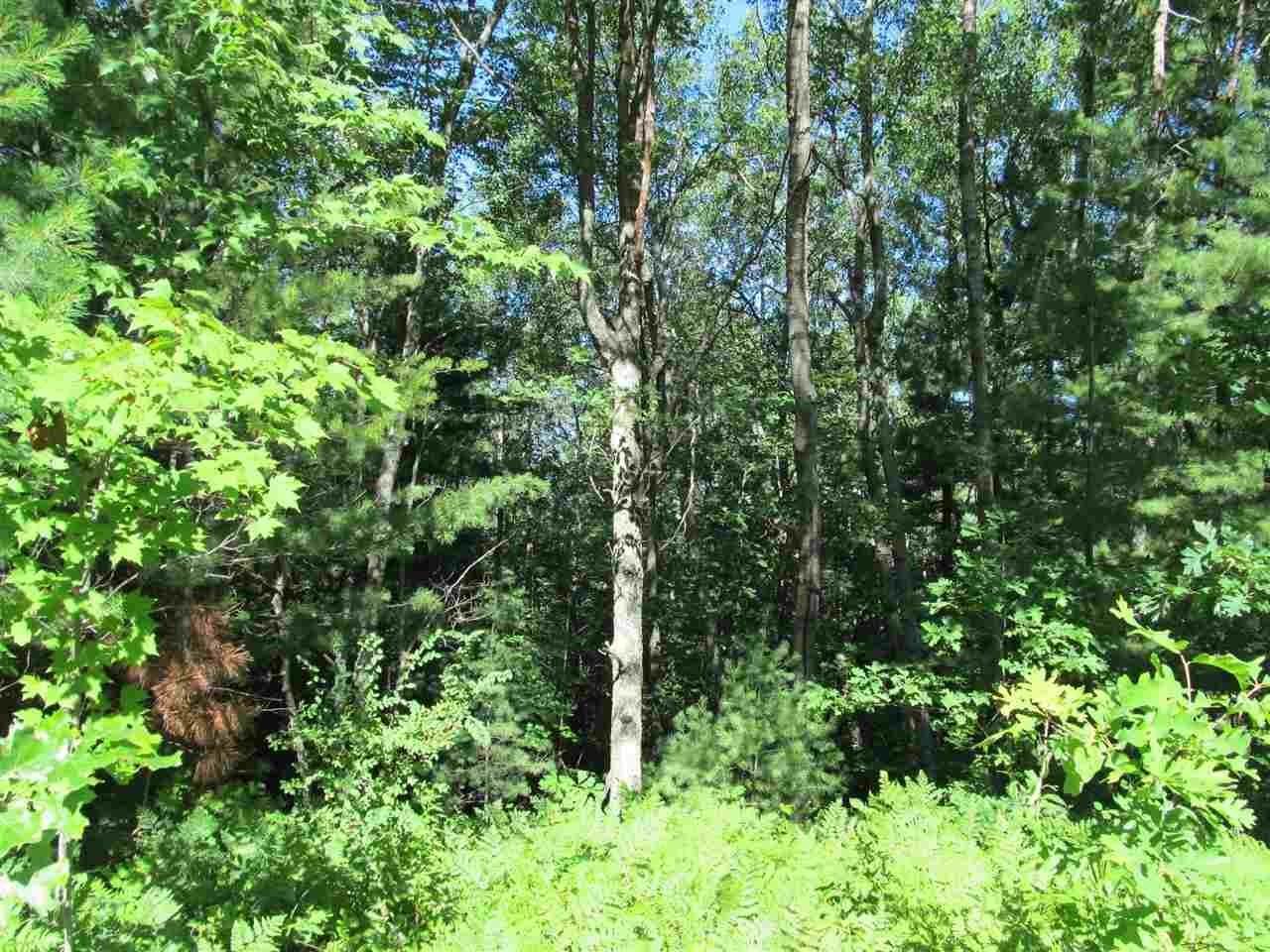 4. Land for Sale at Club Road Indian River, Michigan 49749 United States