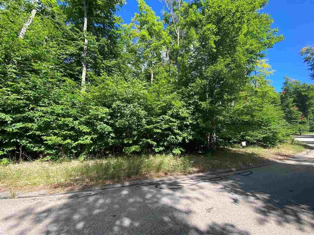 20. Land for Sale at Unit 65 Turnberry Road Boyne City, Michigan 49712 United States