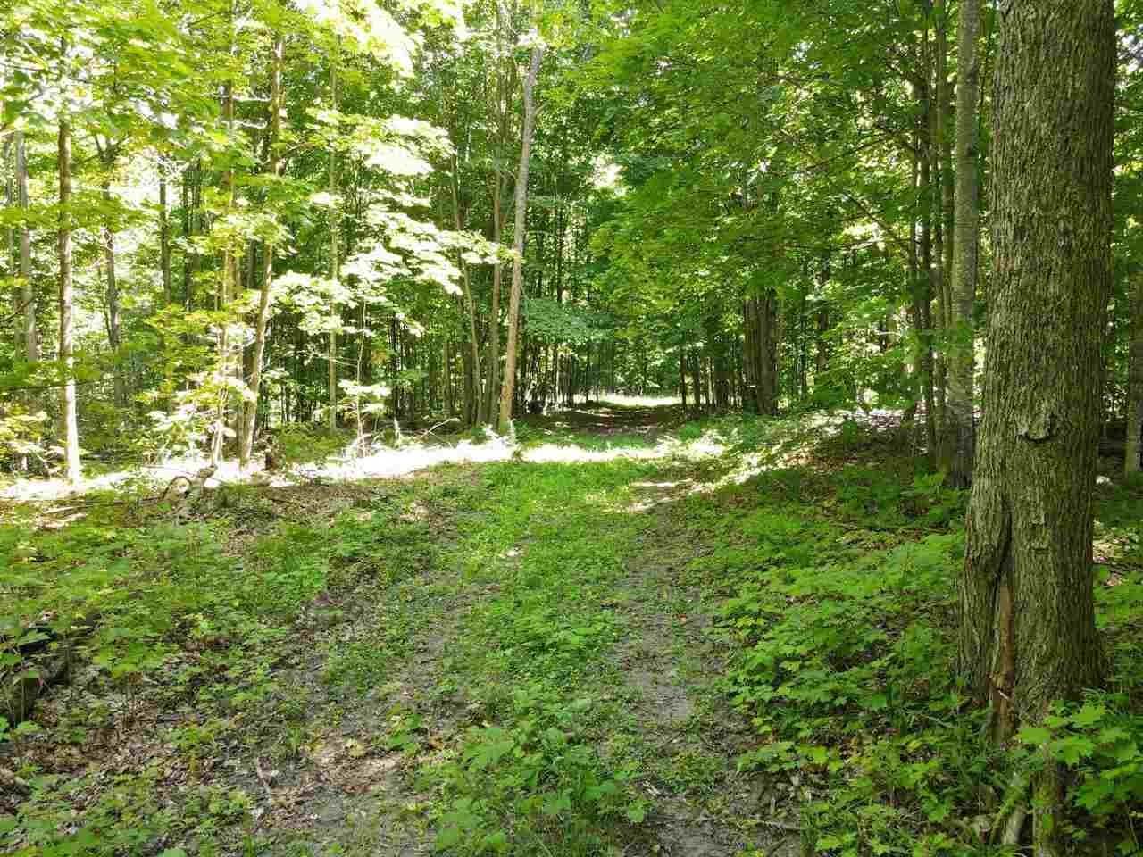5. Land for Sale at 6473 Red Pine Trail Charlevoix, Michigan 49720 United States