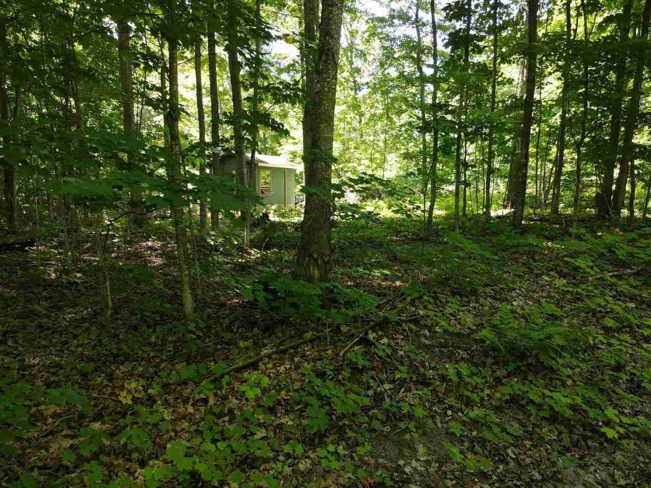 8. Land for Sale at 6473 Red Pine Trail Charlevoix, Michigan 49720 United States