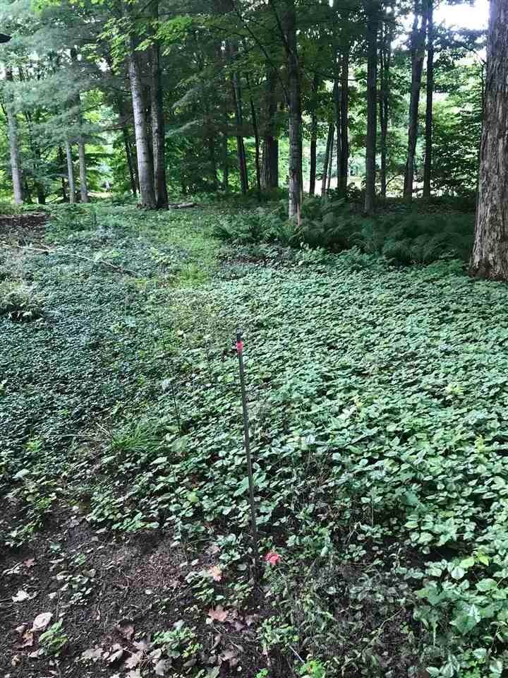 4. Land for Sale at 3146 Greenbriar Harbor Springs, Michigan 49740 United States