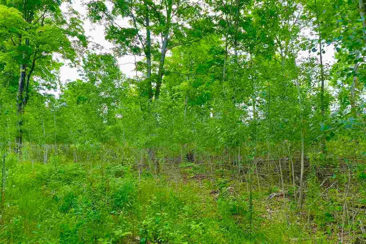 20. Land for Sale at 123 N Porter Road Onaway, Michigan 49765 United States