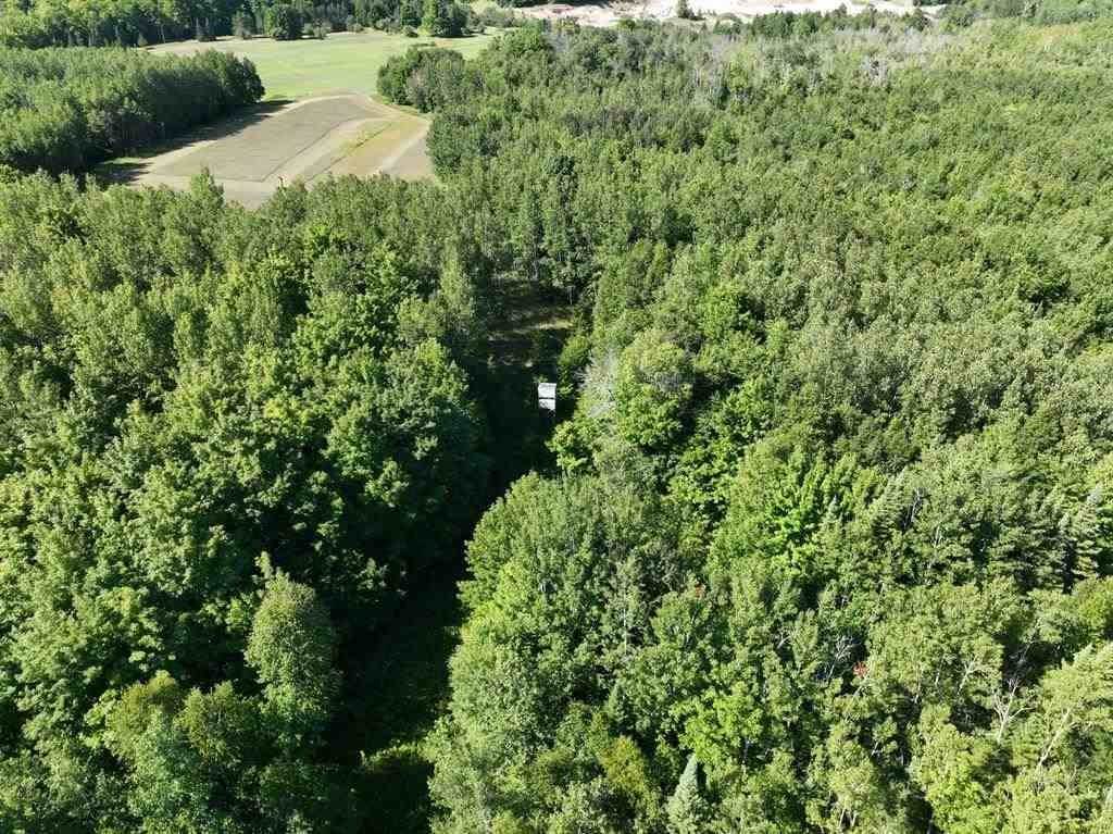 36. Land for Sale at 8266 Dekfuif Road Levering, Michigan 49755 United States