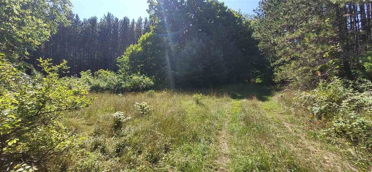 3. Land for Sale at TBD 6 Mile Lake Road Central Lake, Michigan 49622 United States