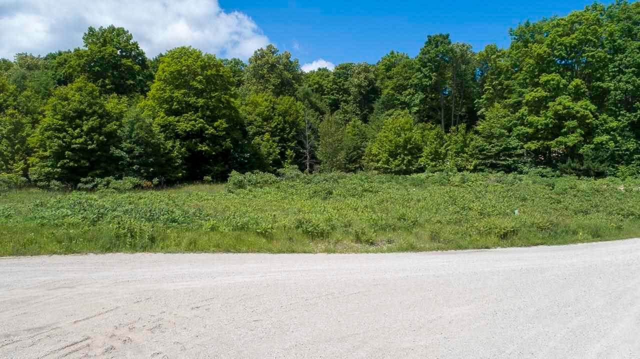 3. Land for Sale at 8567 Littlefield Lane Alanson, Michigan 49706 United States