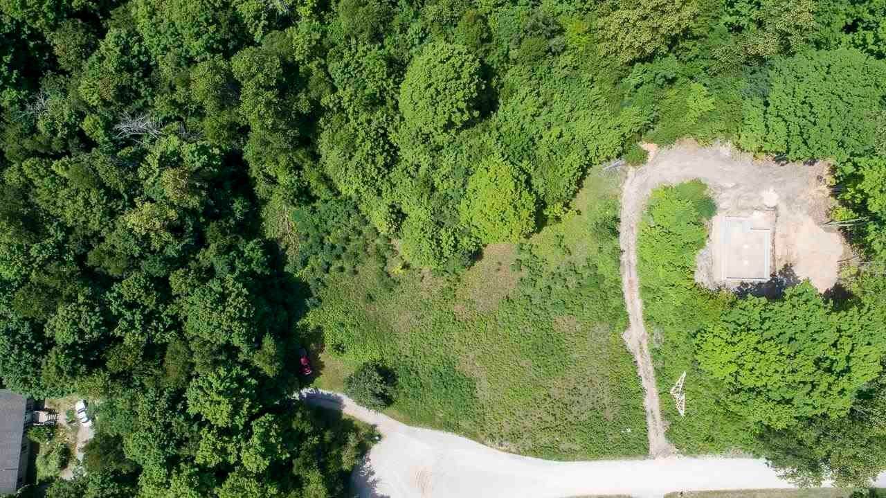 4. Land for Sale at 8567 Littlefield Lane Alanson, Michigan 49706 United States