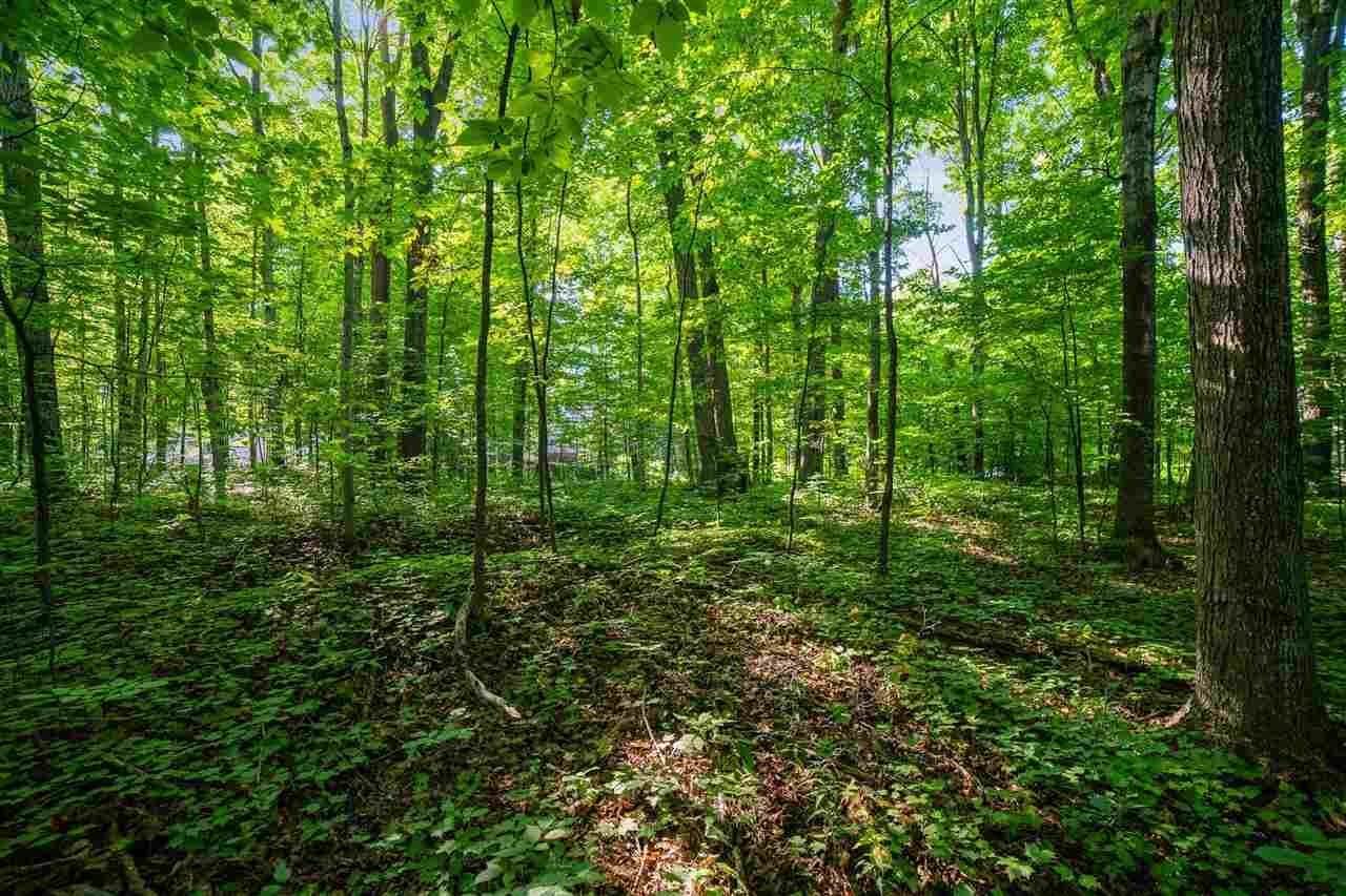 9. Land for Sale at 86 Meadow-Wood Drive Harbor Springs, Michigan 49740 United States