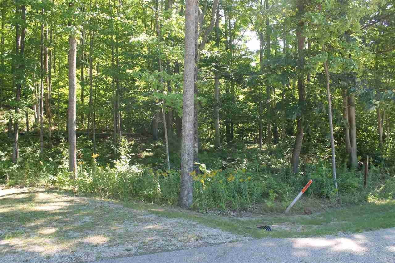 Land for Sale at TBD Wintergreen Harbor Springs, Michigan 49770 United States