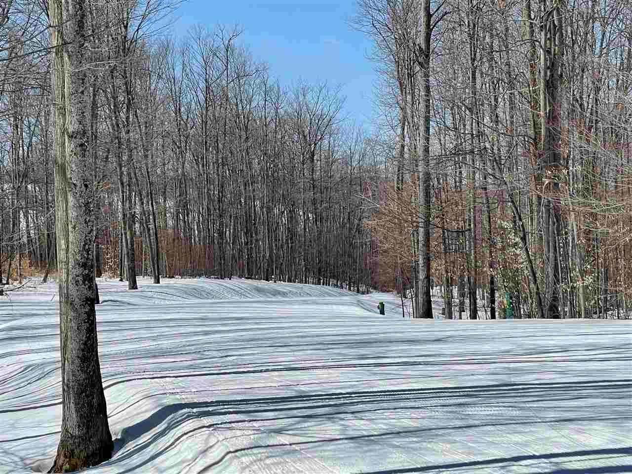 9. Land for Sale at TBD Wintergreen Harbor Springs, Michigan 49770 United States