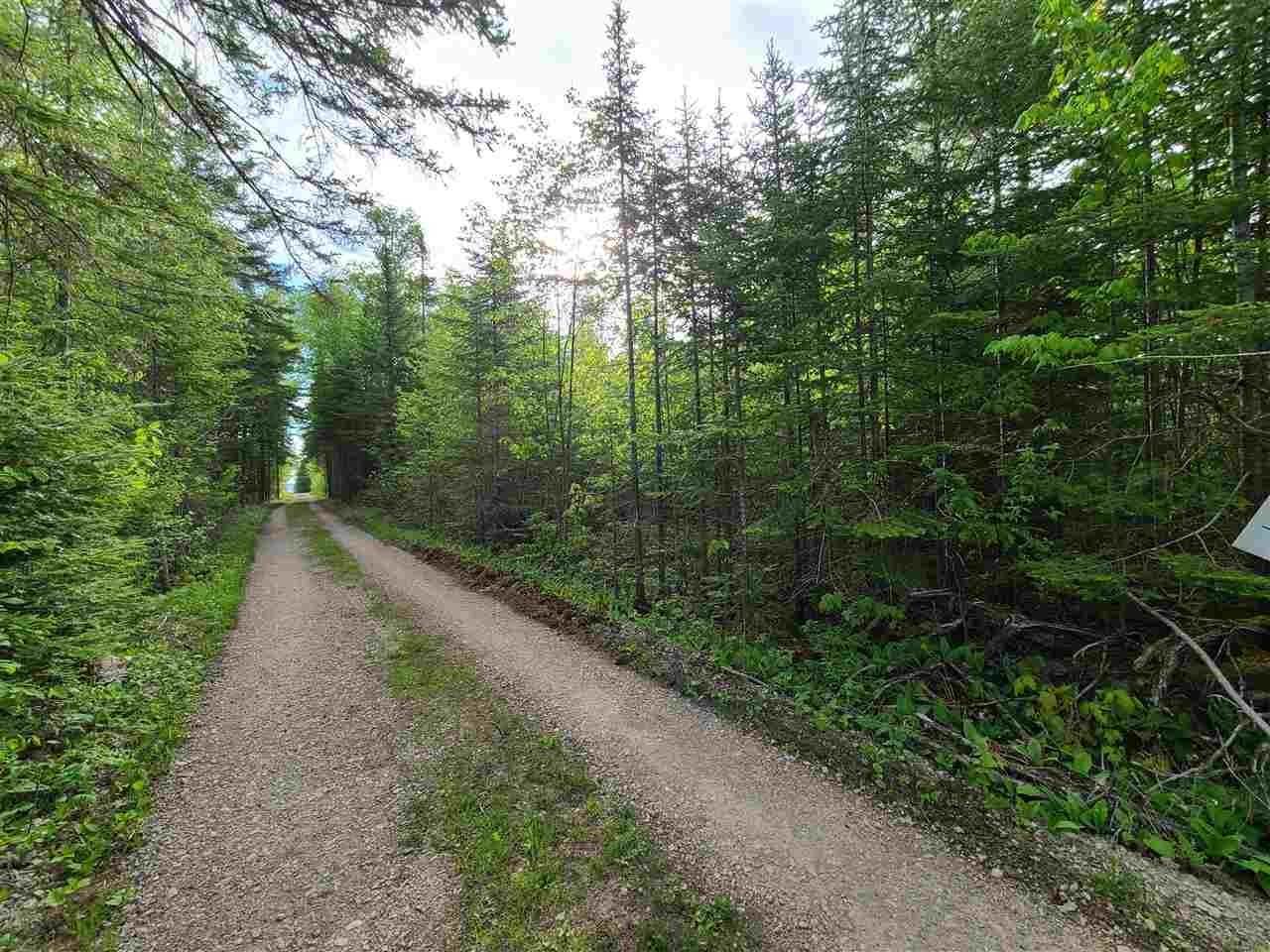 2. Land for Sale at TBD Jay Lane Ocqueoc, Michigan 49759 United States