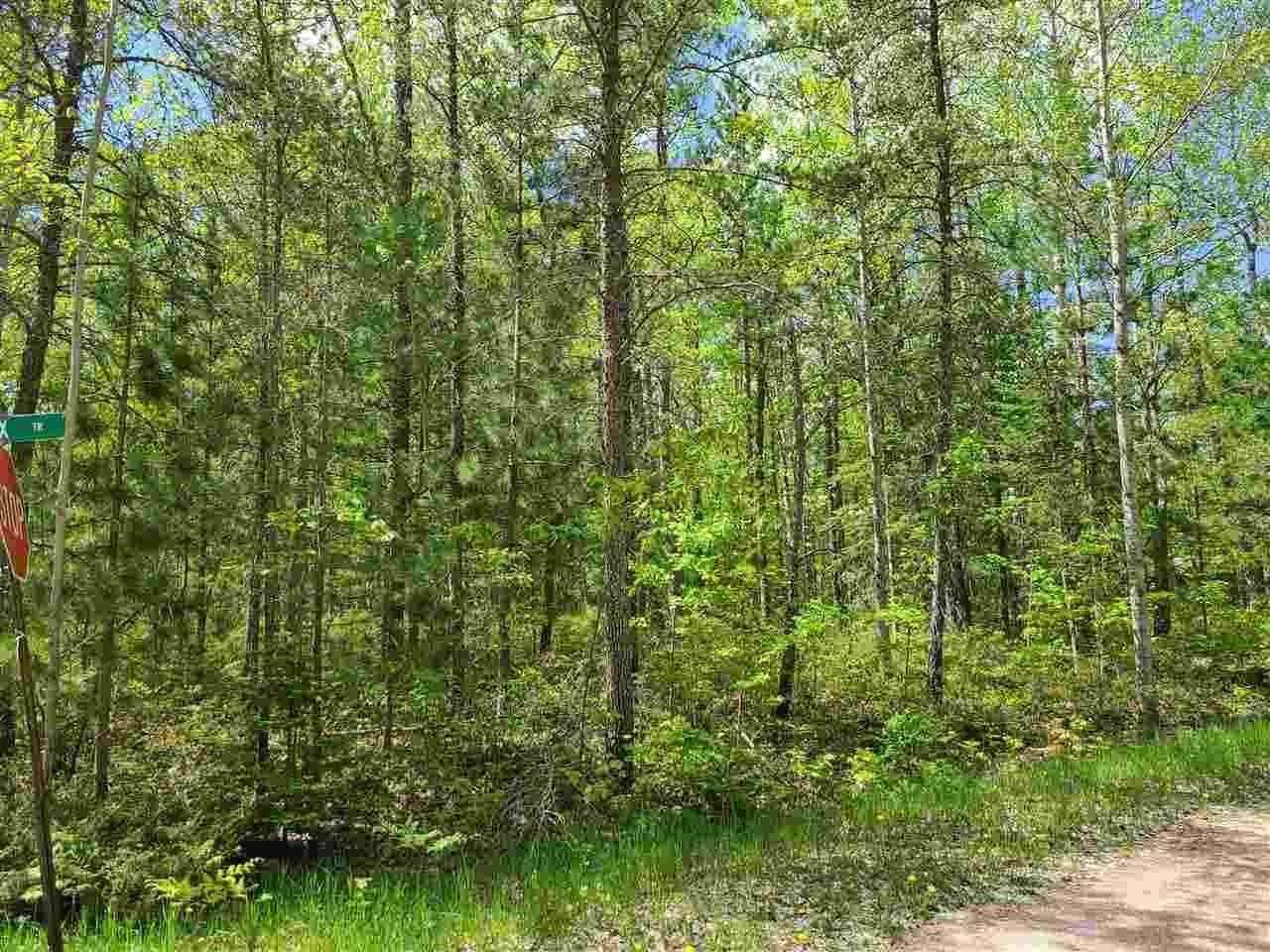 3. Land for Sale at TBD Souix Trail Rogers City, Michigan 49779 United States