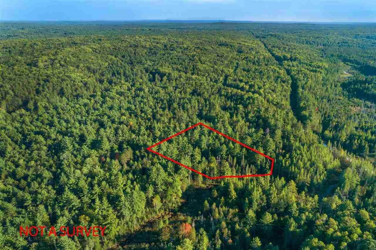 10. Land for Sale at 16308 Gooseberry Road Wolverine, Michigan 49799 United States