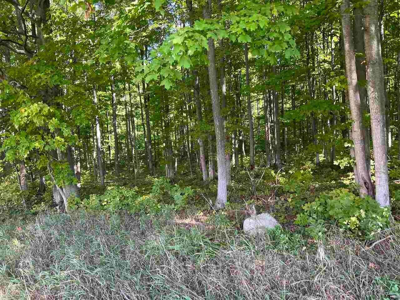 14. Land for Sale at 10 ACRS of 3056 Jaquay Road Boyne City, Michigan 49712 United States
