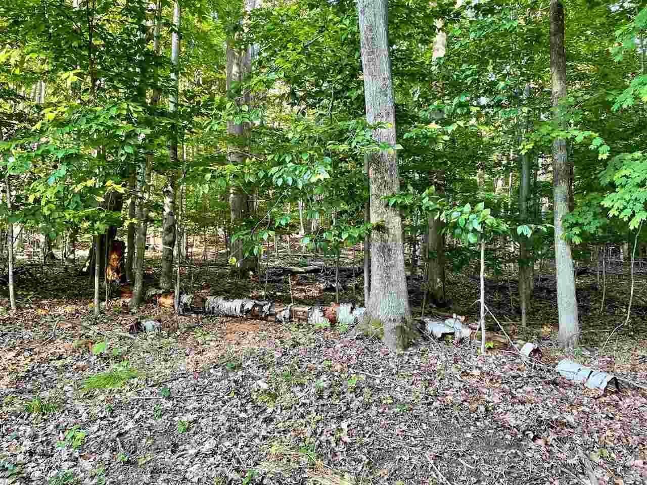 3. Land for Sale at 1188 Maple Way Harbor Springs, Michigan 49740 United States