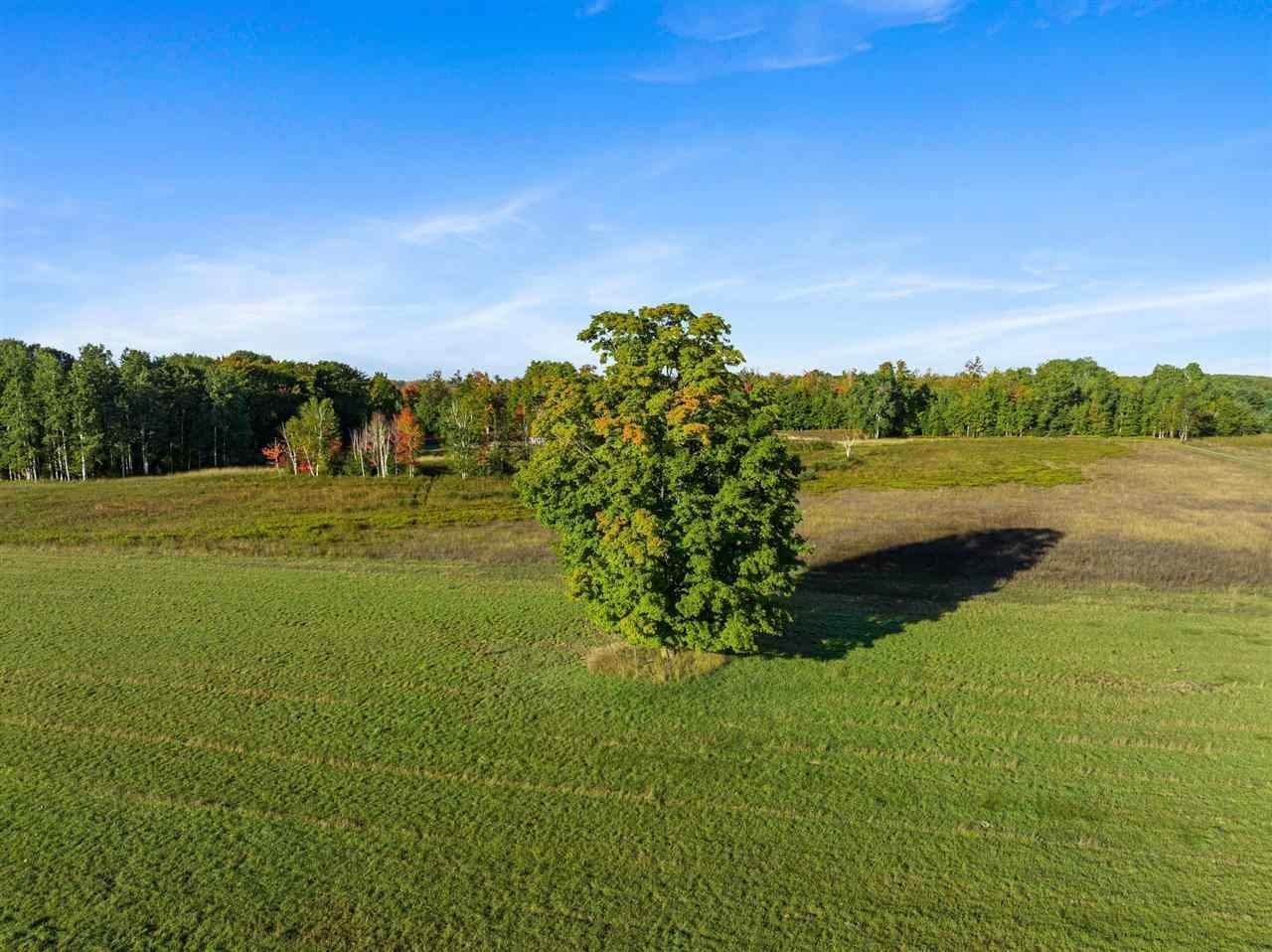 3. Land for Sale at TBD Coors Road Alanson, Michigan 49706 United States