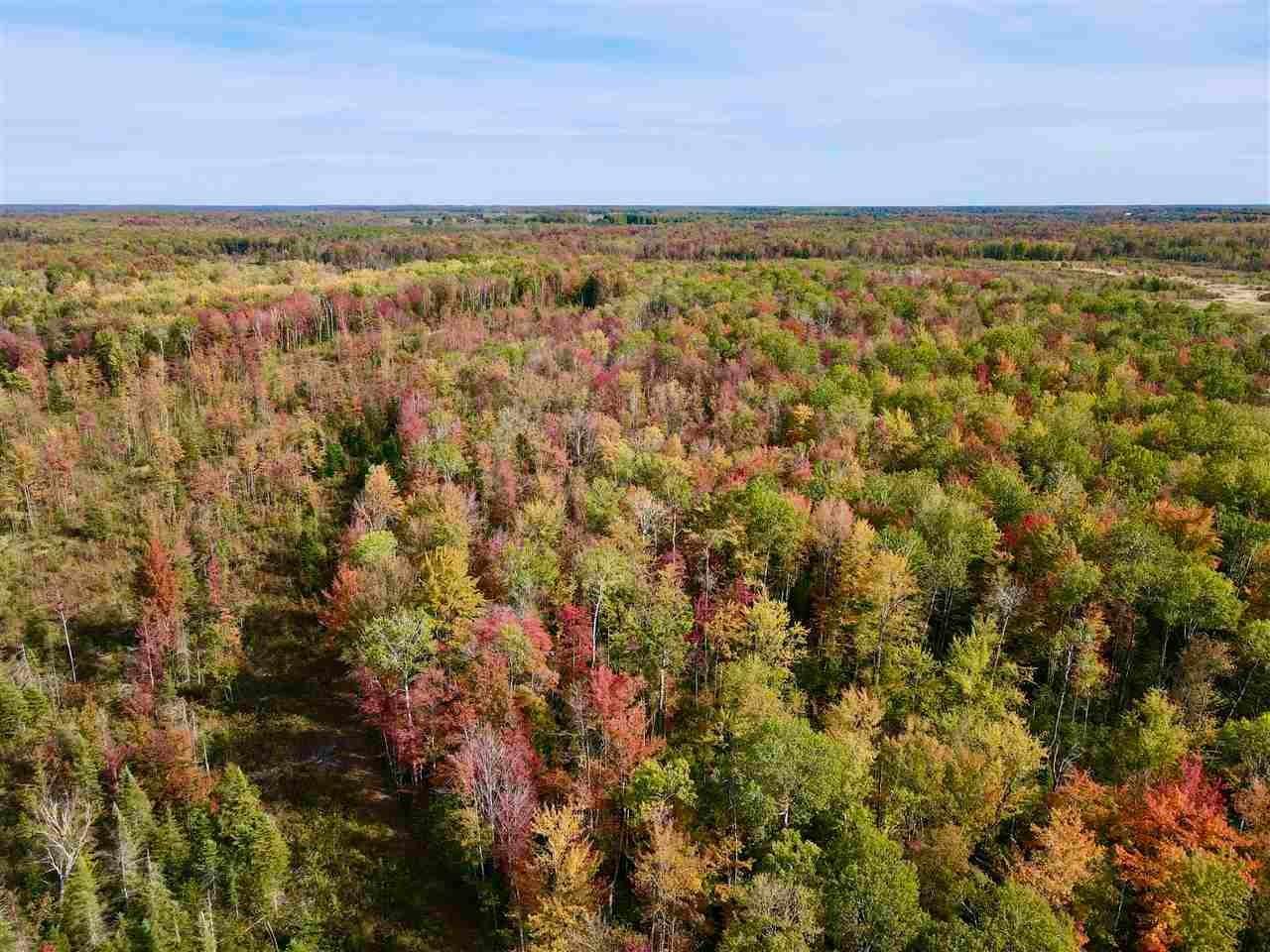 16. Land for Sale at 123 Collins Road Posen, Michigan 49776 United States
