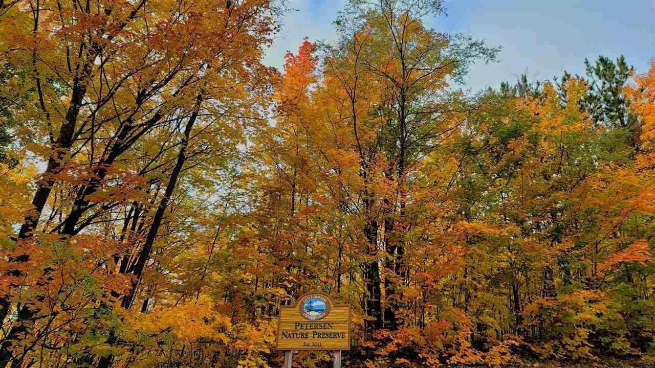 17. Land for Sale at 3116 Needles Drive Harbor Springs, Michigan 49740 United States