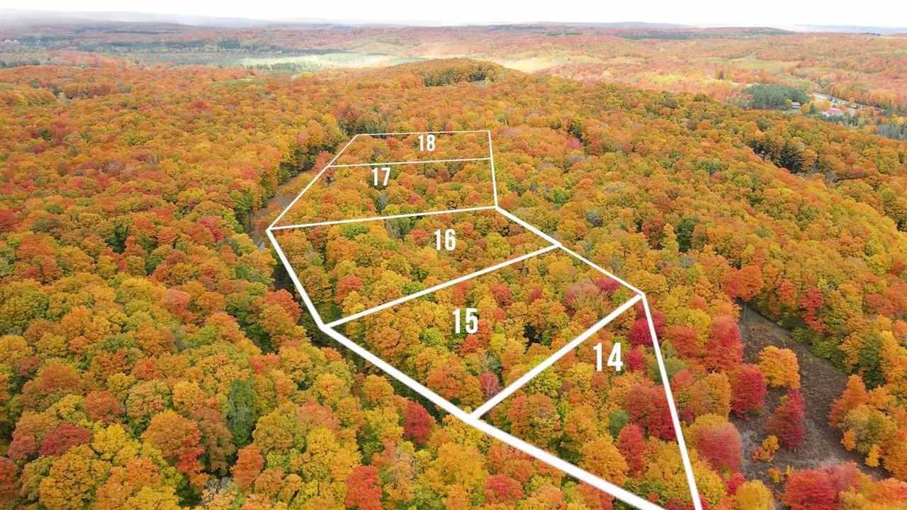 1. Land for Sale at 3376 Needles Drive Harbor Springs, Michigan 49740 United States