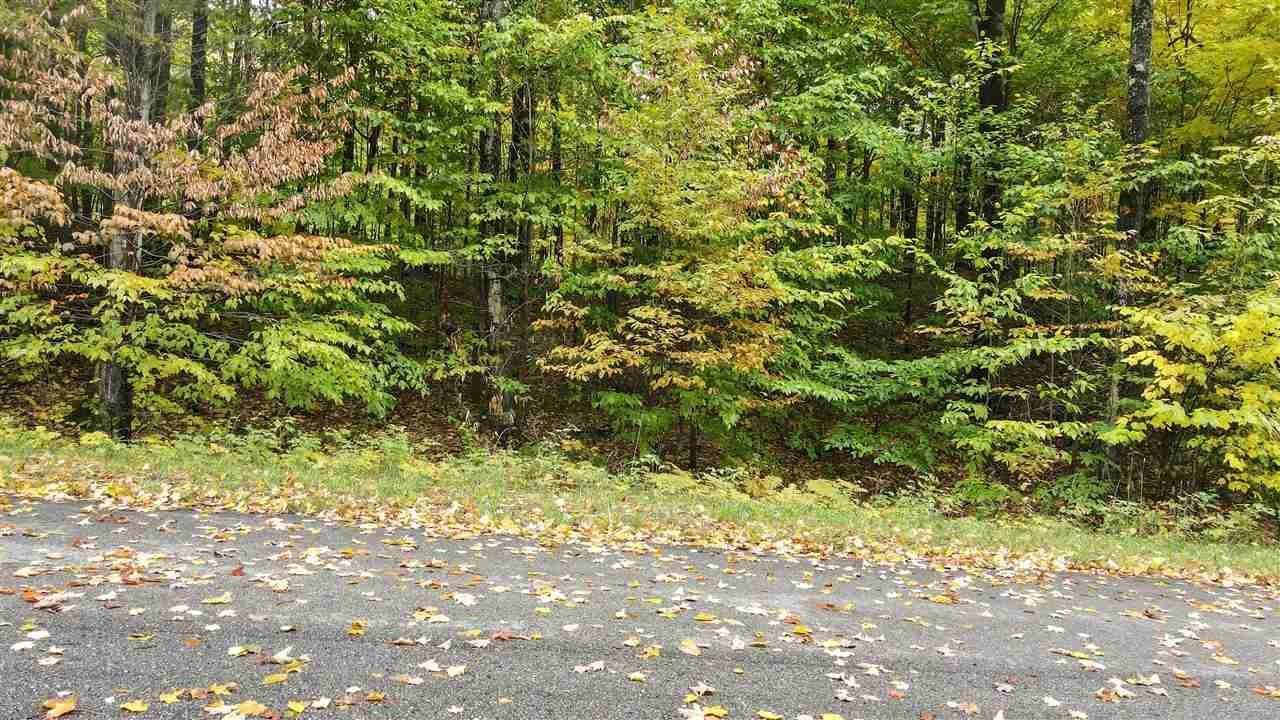 4. Land for Sale at 3402 Needles Drive Harbor Springs, Michigan 49740 United States