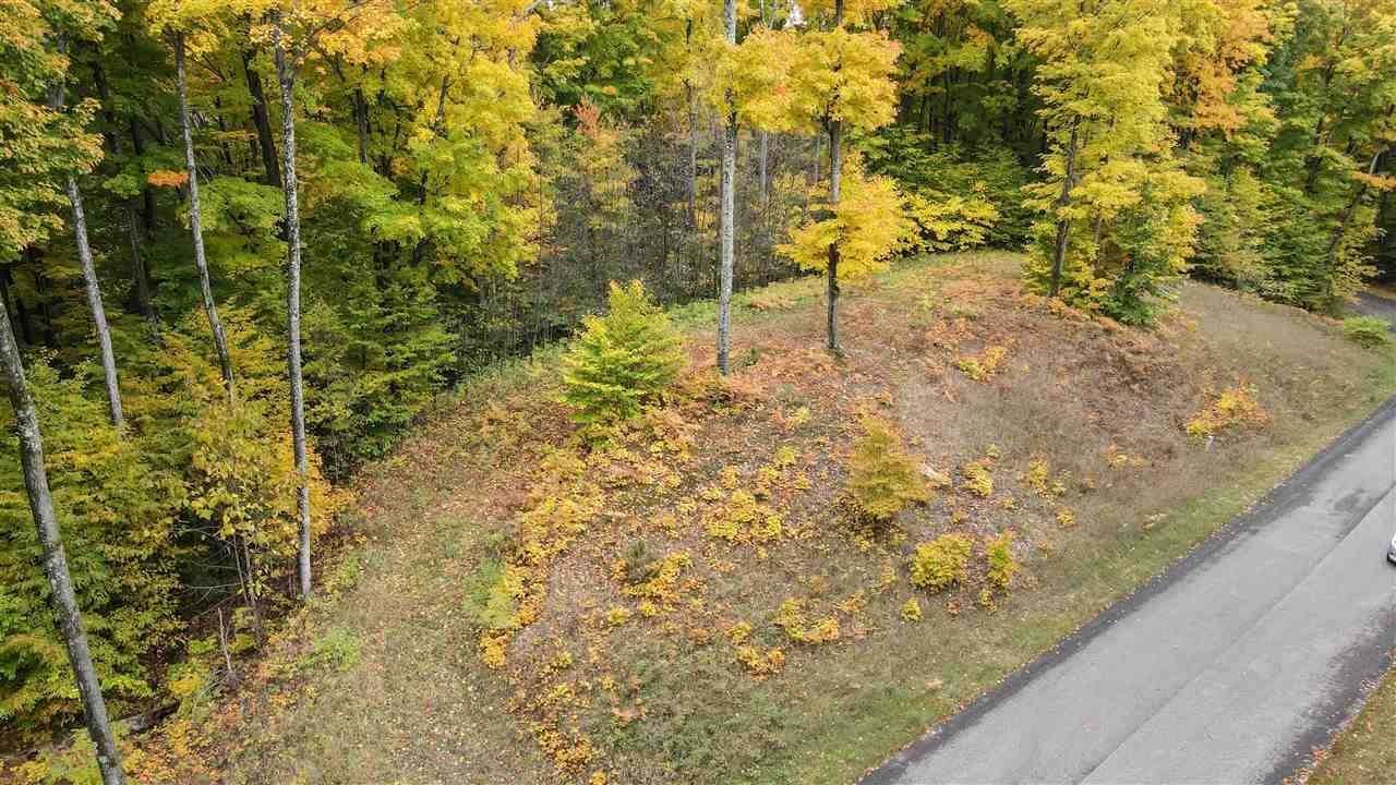 3. Land for Sale at 3428 Needles Drive Harbor Springs, Michigan 49740 United States