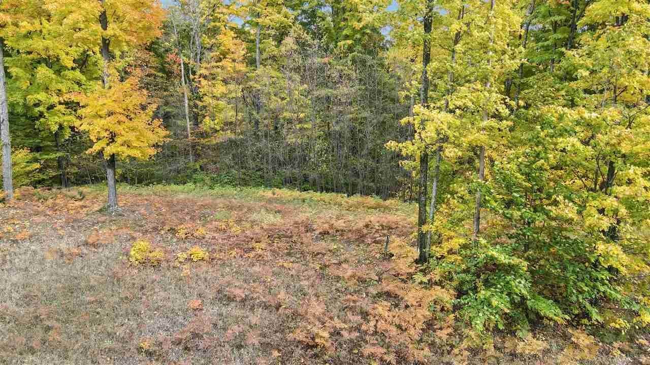 5. Land for Sale at 3428 Needles Drive Harbor Springs, Michigan 49740 United States