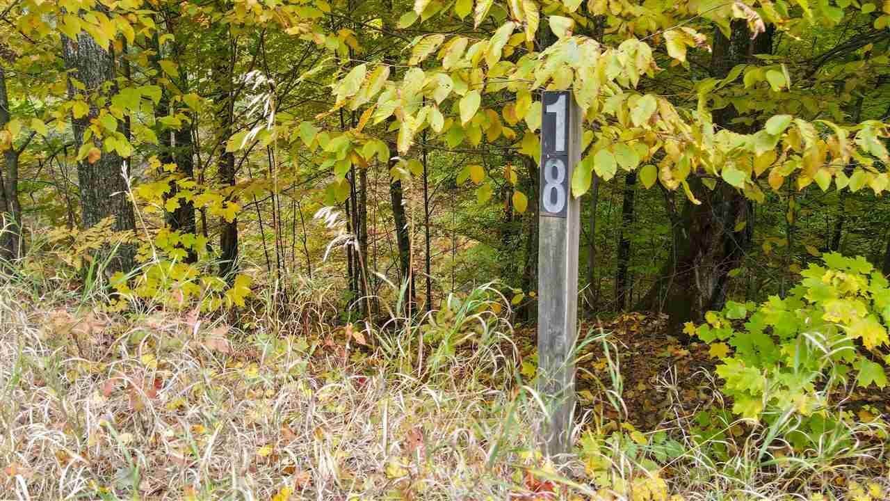 13. Land for Sale at 3454 Needles Drive Harbor Springs, Michigan 49740 United States