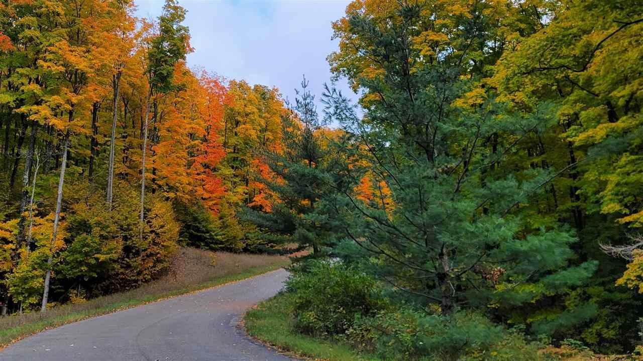 6. Land for Sale at 3454 Needles Drive Harbor Springs, Michigan 49740 United States