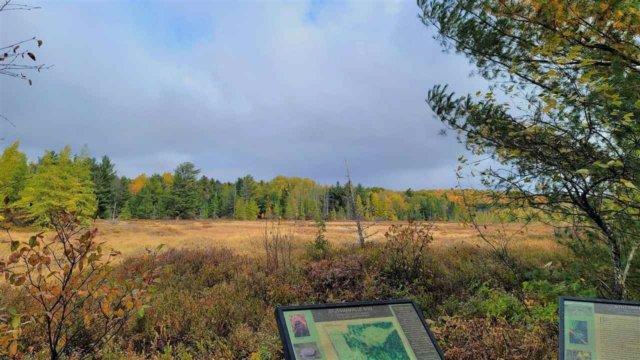 20. Land for Sale at 3395 Needles Drive Harbor Springs, Michigan 49740 United States