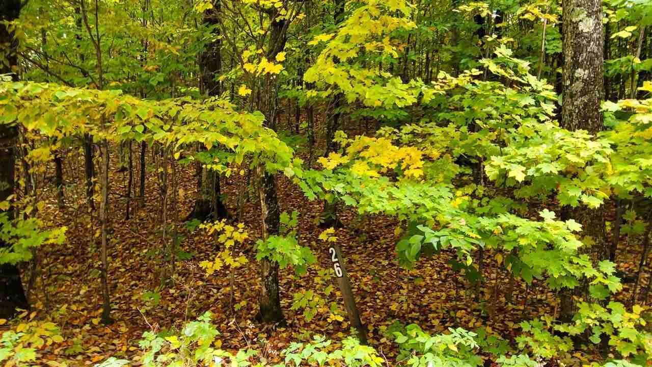 9. Land for Sale at 3395 Needles Drive Harbor Springs, Michigan 49740 United States