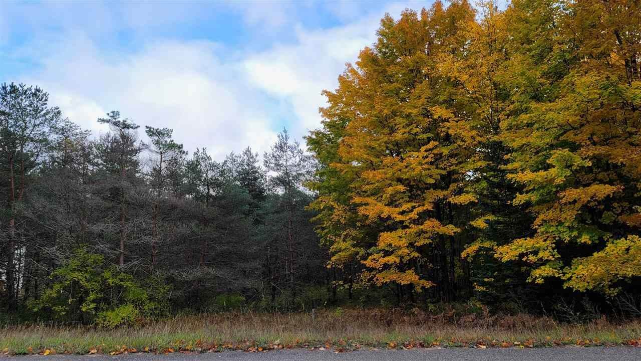 6. Land for Sale at 3285 Needles Drive Harbor Springs, Michigan 49740 United States
