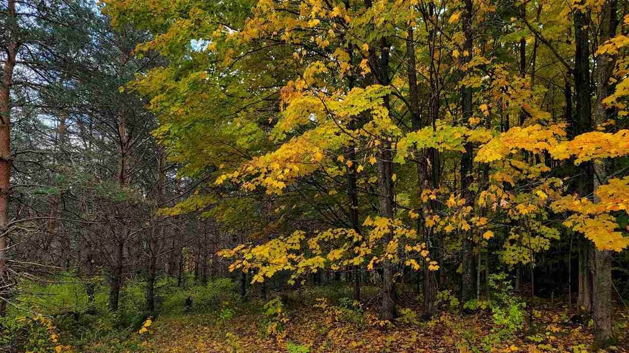 7. Land for Sale at 3285 Needles Drive Harbor Springs, Michigan 49740 United States