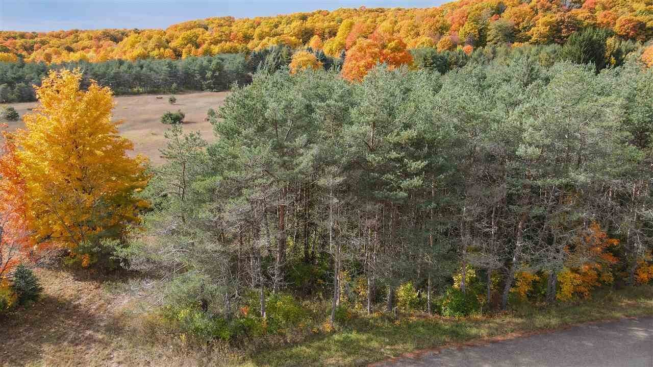 7. Land for Sale at 3025 Needles Drive Harbor Springs, Michigan 49740 United States