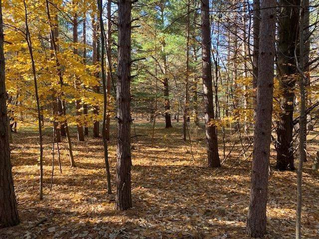 10. Land for Sale at 3909 Island Watch Drive Harbor Springs, Michigan 49740 United States