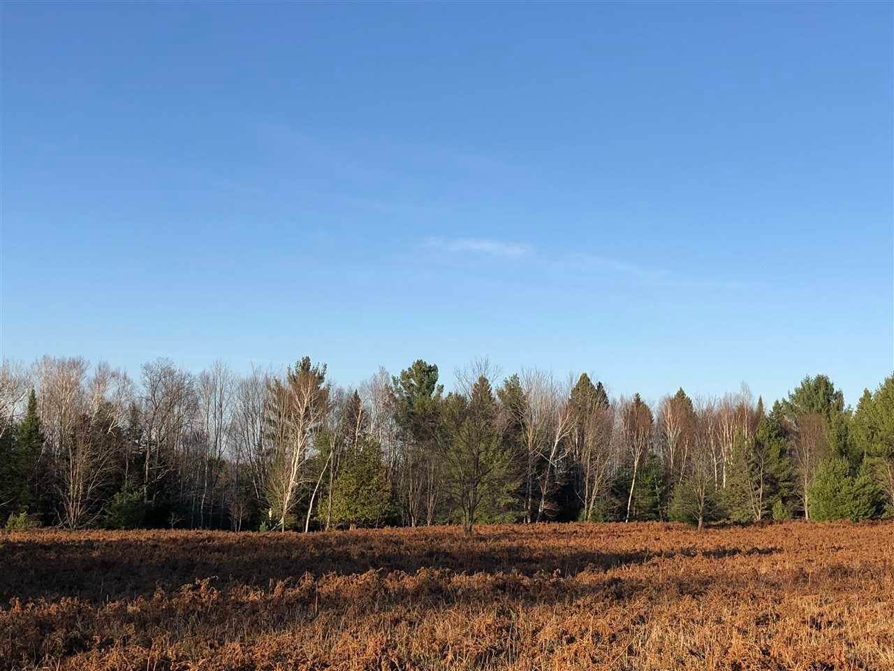 Land for Sale at 6900 Mission Road Alanson, Michigan 49706 United States