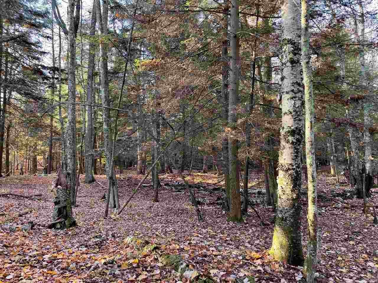 8. Land for Sale at East Side Drive Beaver Island, Michigan 49782 United States