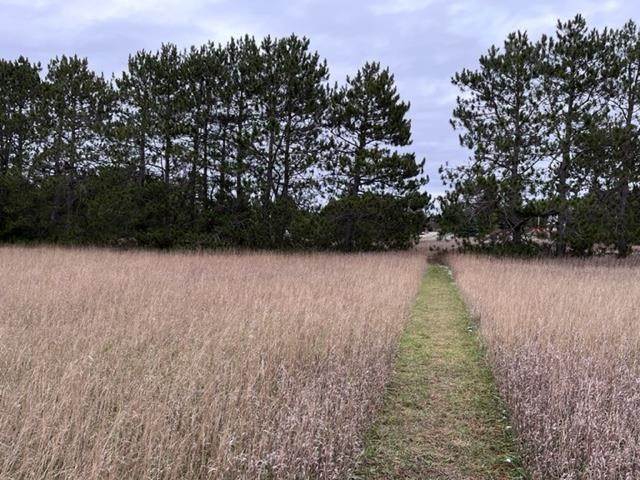 6. Land for Sale at 7201 Rolling Meadow Trail Harbor Springs, Michigan 49740 United States